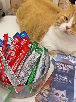 怕喂了零食猫条会挑食的铲屎官可以看看这款猫条#史默生主食猫条 #猫咪零食推荐 #湿粮主食