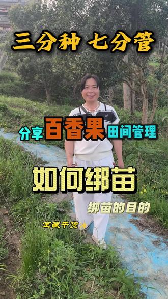 种地就是3分种,7分管,今天和大家分享百香果绑苗的实操和好处#三农热门视频 #流量扶持 #推荐 #农村生活