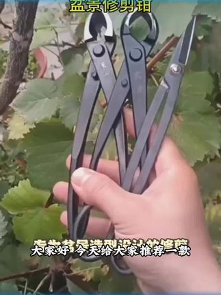 主播推荐很划算老式手工锻打球节钳斜口钳叶芽剪盆景造型修剪工具