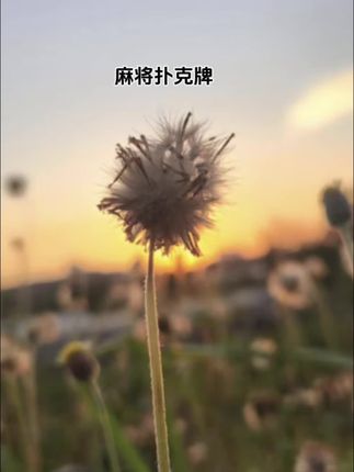 人呐!没有谁配不上谁两块钱一包的盐,可以配上 万一桌的菜但上万的菜没有盐,也是淡然无味 #去珍惜那个很忙却为你有空的人#好好爱自己把期待降低把依赖变少#加油亲爱的自己