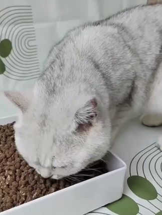 冻干夹心猫粮5斤10斤无谷猫粮成猫幼猫营养增肥发腮1斤鸡肉猫干粮#猫粮 #冻干猫粮 #猫零食 #宠物食品 #猫咪
