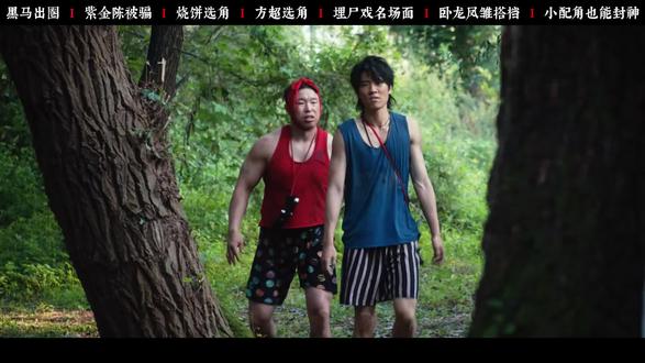 导演本来只是找两个凑数的,没想到这俩人把主角的风头都给抢了!#低智商犯罪 #烧饼 #宋郁河