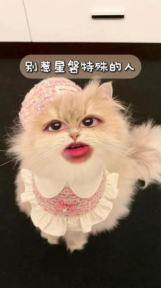 别惹星磐特殊的人 #星盘 #星盘分析 #情感 #占星