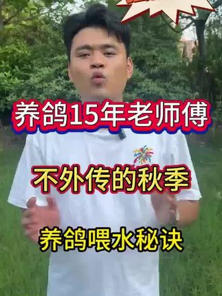 【全蟲清】鸽子家禽线虫绦虫蛔虫体内寄生虫可用健康饮水饲料添加剂#鸽子