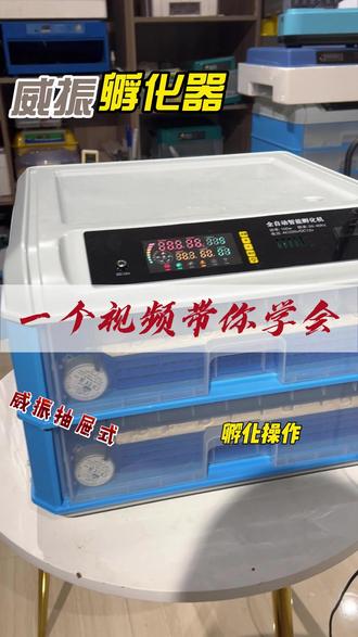 教你如何使用威振全自动智能孵化器! 喜欢在家孵化的老板认真看完这条视频,教你如何使用威振全自动智能孵化器!#孵化器 #在家孵化 #孵化小鸡#孵蛋 #全自动智能孵化器