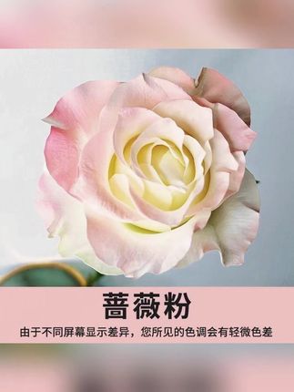 鲜花喷漆花艺花店专用喷漆定制自喷漆碎冰蓝彩喷色剂着色 #鲜花喷漆 #花店专用喷漆 #喷漆 #好物推荐
