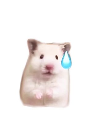 #命中注定顾少的闪婚甜妻