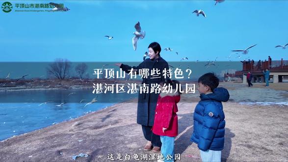 🌊白龟湖冬日限定浪漫💕来自西伯利亚的红嘴鸥🕊️湛南路幼儿园有哪些特色呢?📷跟随镜头我们一起来揭秘😎#平顶山幼儿园推荐#湛南路幼儿园#幼儿园招生#白龟湖红嘴鸥#湛河区幼儿园
