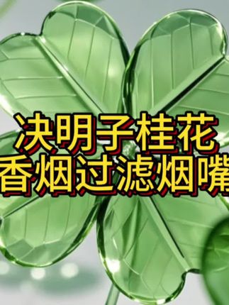 #好物推荐🔥 #烟嘴过滤器 #好用不贵经济实惠 #超便宜超划算 #吸烟有害健康