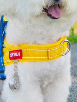 狗狗牵引绳宠物马鞍胸背带防爆冲狗链中小型犬泰迪柯基比熊遛狗绳#不养狗不知道养狗的乐趣 #毛孩子的日常 #养狗经验分享 #可爱萌宠 #宠物知识