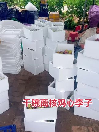 #鸡心李子