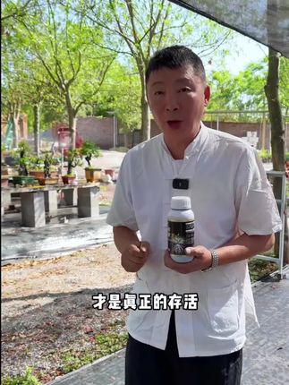 爆根生根剂移栽扦插强力壮苗生根剂绿植花卉盆景专用壮根促生根液