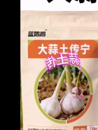 大蒜土传宁,浇湿效果更好。