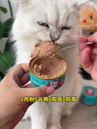 这款鲜肉主食罐真的惊艳到我了,猫猫吃的长肉又胖腮!#whycat猫罐头 #萌宠好物 #科学养宠攻略 #猫罐头