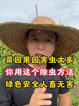 菜园果园害虫太多,你用这个除虫方法,绿色安全人畜无害#蔬菜种植 #果园管理 #诱粘剂 #农业种植 #种植小技巧