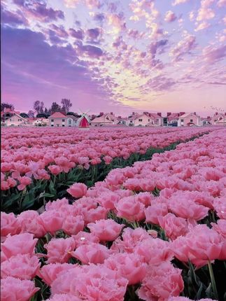 葵花官方正品祛疣型医用退热凝胶适用于皮肤手脚面部脖子上小肉粒等多种类型患者的局部降温#花🌸 #在这个特殊的日子里 #做自己的太阳