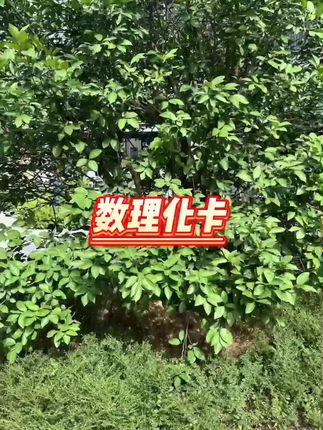 #数理化卡 #数理化卡片