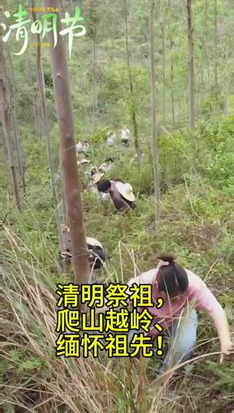 #清明节 爬山越岭!缅怀祖先!