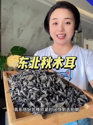 可试吃100克,东北秋木耳,凉拌,炒菜,打边炉都特别好吃#东北秋木耳#木耳 #农产品