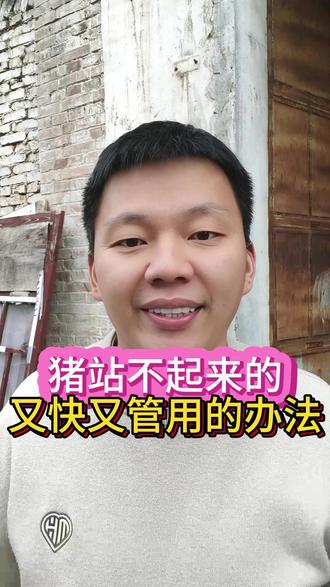 猪站不起来的,又快又管用的办法! #养猪经验 #养猪技术 #养猪小妙招 #猪站不起来 #无限回购的宝藏单品