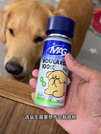 养宠人如何选择益生菌#养狗经验分享