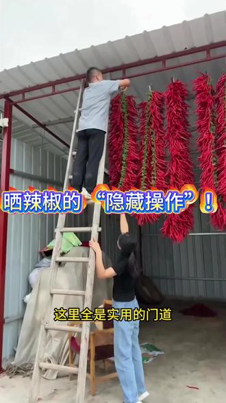 你家晒辣椒这么做吗?绑串悬挂,秋冬保鲜不发霉 #涨见识