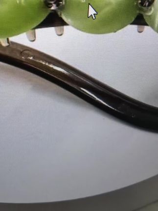 抓夹