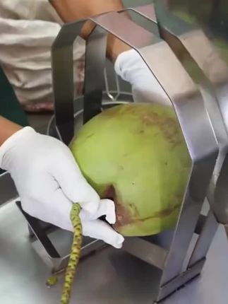 百分百椰子水,比矿泉水还划算的椰子水,冰镇一下更清爽!#椰子水  #椰子 #仙女都在喝什么 #夏日饮品 #多喝水