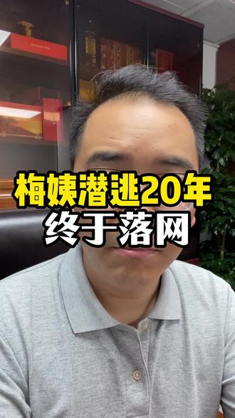 梅姨潜逃20年终于落网 #热点 #热点新闻事件 #梅姨