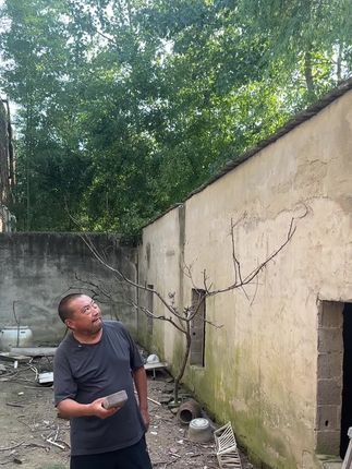 三块砖头一点不费劲#万万没想到的结局 @特平凡的老姜