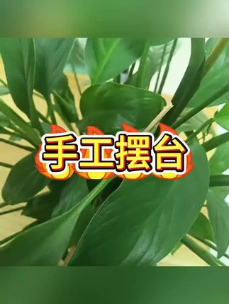 #手工礼品 #教师节礼物 #摆件