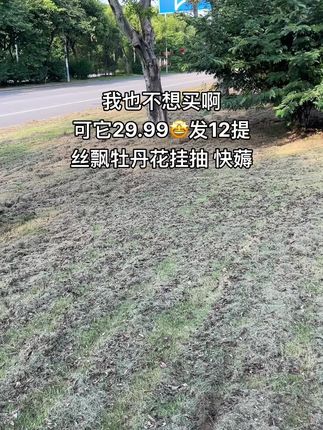 #悬挂抽纸 #超便宜超划算 #好用不贵经济实惠 #好物推荐🔥 #平价好物