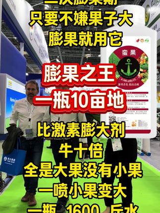 二次膨果期,膨果就用它 #膨果 #膨果增甜 #膨果肥 #膨果增甜防裂果 #蛮果