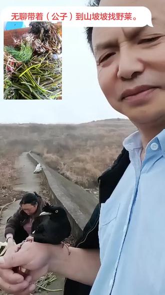 # 山坡坡的空气就是好#野莱:折耳根,刺耳包,也祘,藤菜,蒲公英。