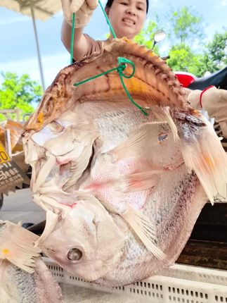 正宗儋州红鱼干,整条日晒大红鱼干,咸香开胃下饭,特别是红鱼炖五花肉,非常好吃#咸鱼干