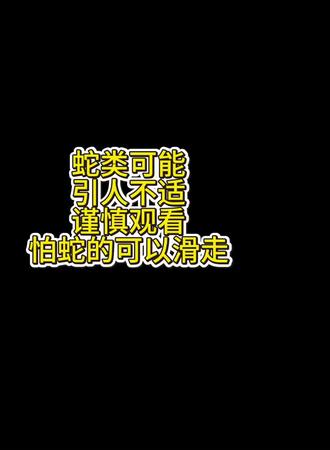 #奶蛇#爬宠#异宠#爬宠知识科普
它有彩虹的纹路,却是静默的住客。
▌极简美学
身上流淌着红、黑、黄组成的抽象画。
无需言语,本身就是艺术品。
▌安静生活家
几乎无声。行动如液体流动,只在饲喂时展现自然界赋予的精准节奏。
▌饲育备忘
· 空间:宁静饲养箱,有躲藏处与温度梯度
· 饮食:定期喂食冷冻解冻的鼠类
· 互动:从容的观察胜过频繁把玩
它满足你对“拥有特别生物”的想象,同时尊重你对简洁生活的追求——一种恰到好处的陪伴。
像养一缕会蜕皮的光。