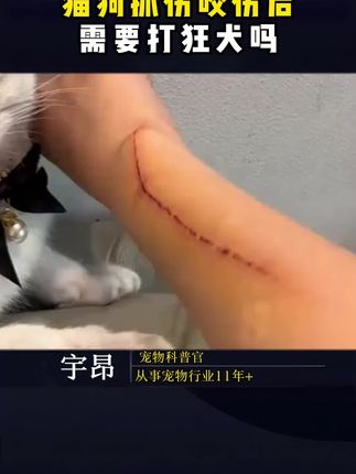 #养狗 #养狗经验分享 #狂犬病 #科学养宠攻略