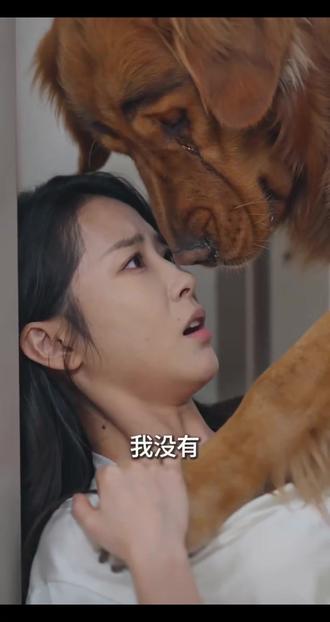 #AI墙角的专属告白 #随变ai随便玩