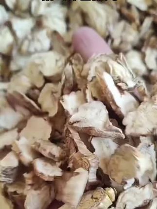 精选多年生老根秦艽#大自然的馈赠