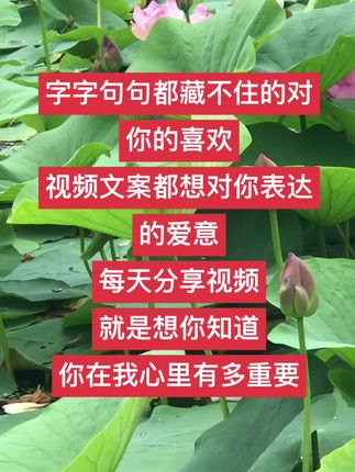 #情感音乐