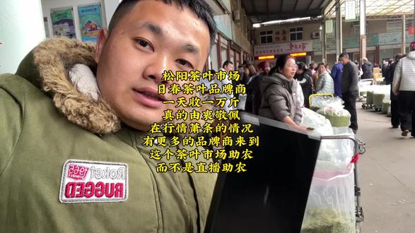 松阳茶叶市场如果多一些品牌商,那么对茶农有益,对品牌曝光也好,这是真助农