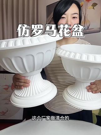 这个仿罗马花盆来大活动了,颜值高,抗摔耐造,日晒雨淋也不怕#花盆#种花种菜#质量杠杠的好 #家居好物 @DOU+小助手