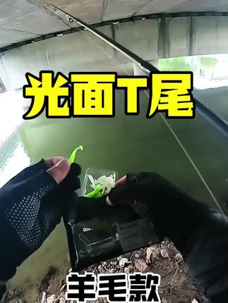 路亚光面T尾软饵铅头钩根钓软虫缓沉浮水鲈鱼翘嘴鳜鱼小微物假饵#软饵 #假饵 #t尾软饵