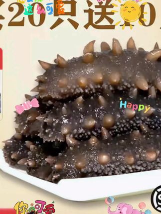 参阿婆即食海参新鲜大连正宗辽参非淡干买20送10头#海参#即食海参#大连辽刺参 #辽参#刺参