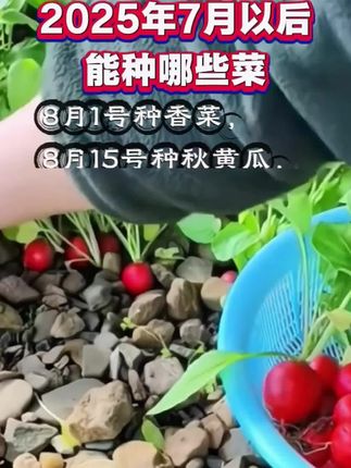 七月以后这些蔬菜要安排上#蔬菜种子 #蔬菜种植