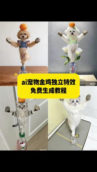 叶问蹲ai特效教程 金鸡独立拍照教程 狗狗功夫教程 狗子ai生成打拳视频教程 叶问特效拍同款 叶问蹲ai特效拍同款 叶问蹲ai特效一键生成 叶问蹲ai特效入口 狗狗打拳ai生成指令 仓鼠证件照豆包生成指令 小猫练武ai生成口令 狗狗打拳ai指令 狗狗功夫ai生成指令 咏春拳ai特效 叶问ai特效 叶问蹲ai特效 狗狗跆拳道ai特效 叶问蹲 萌娃叶问蹲ai特效 叶问蹲ai特效推荐 练了十年的功夫狗 狗子练武ai生成 #金鸡独立姿势 #金鸡独立拍照动物 金鸡独立拍照姿势 叶问打架特效ai特效 叶问金鸡独立视频##叶问蹲 #豆包ai #豆包p图已经nextlevel了