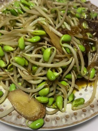 豆芽炒粉丝 嘎嘎下饭#家常饭菜 #手工粉丝