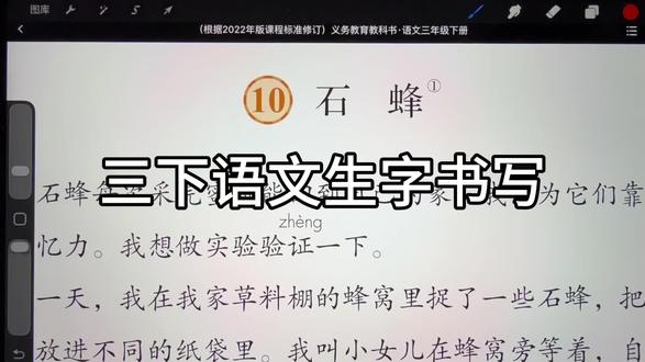 三下语文 10《石蜂》 #练字 #三年级 #笔杆子书法空中课堂