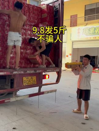 #芒果 #台农芒果
