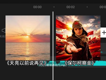 不要做笨蛋和胆小鬼,让我们奋斗到生命的最后一刻 #保尔柯察金 #钢铁是怎样炼成的 #最后一刻